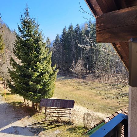 Apartment Dobnikar Kranjska Gora Zewnętrze zdjęcie