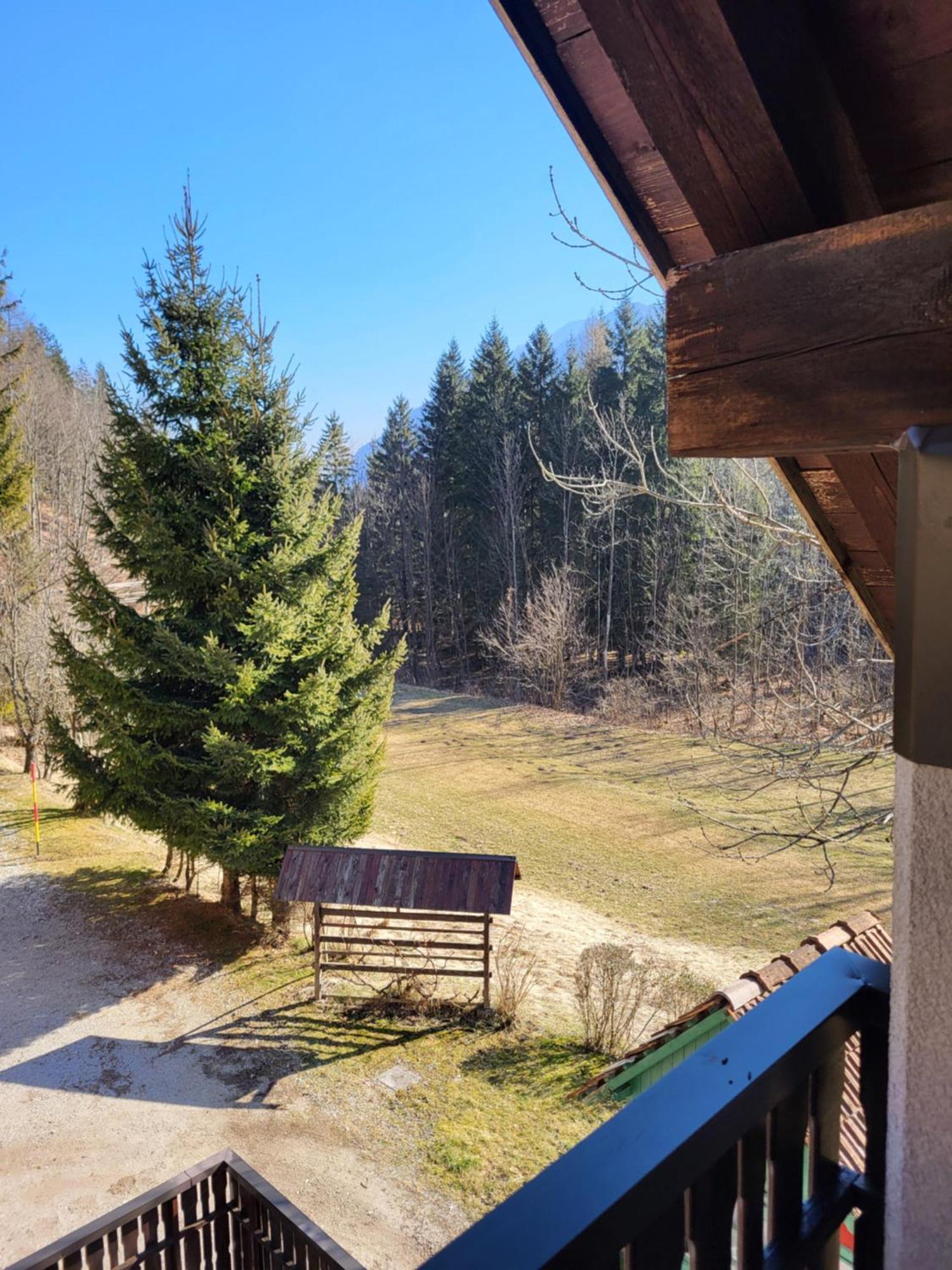 Apartment Dobnikar Kranjska Gora Zewnętrze zdjęcie