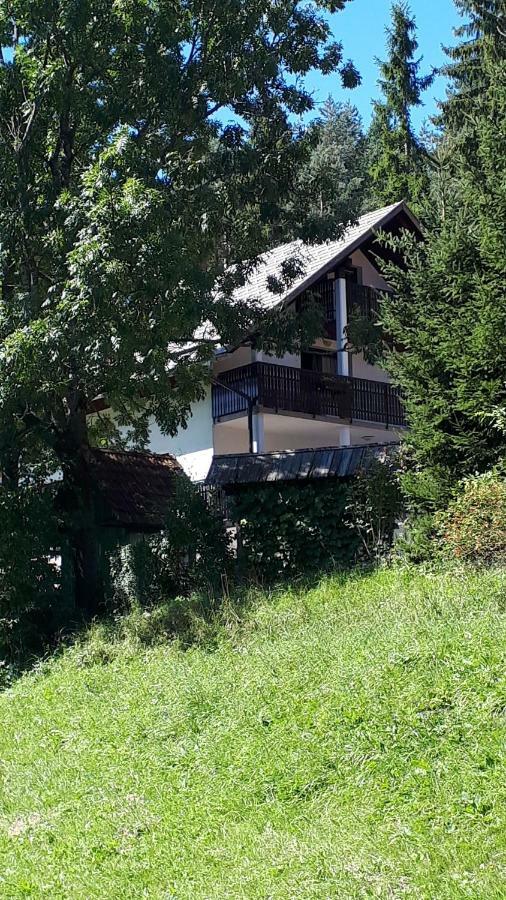 Apartment Dobnikar Kranjska Gora Zewnętrze zdjęcie